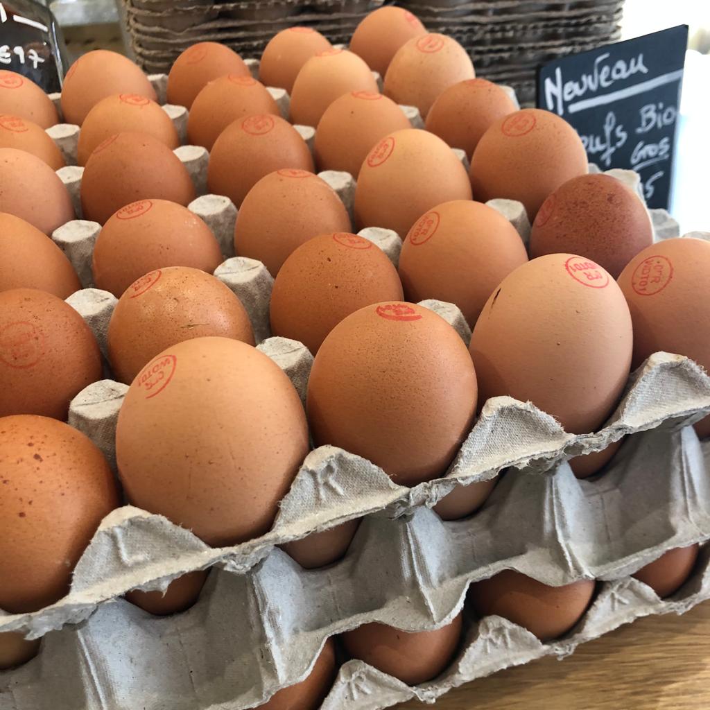 Boîte de 6 oeufs Bio France