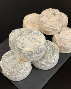 crottin-de-bigorre-chevre-semi-frais
